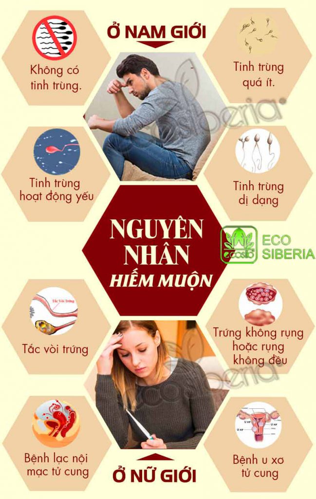 Chữa hiếm muộn hiệu quả và an toàn bằng sản phẩm từ thiên nhiên Cao Ban Long Siberia TW